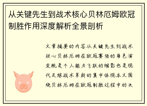 从关键先生到战术核心贝林厄姆欧冠制胜作用深度解析全景剖析